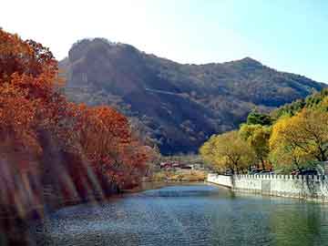 新澳天天开奖资料大全旅游团，大切论坛